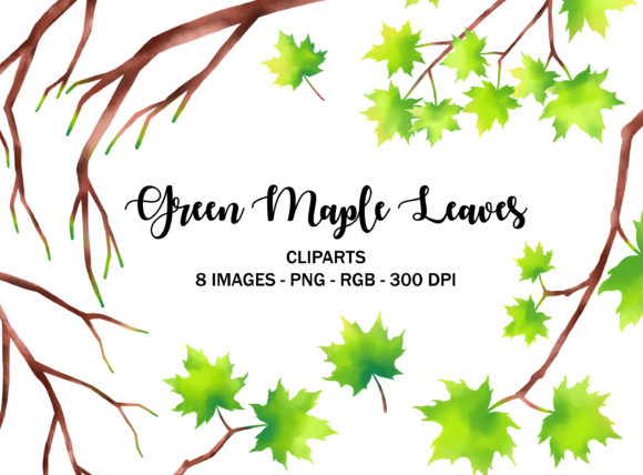 Download Green Maple Leaves Tree Illustrations - Premium Resources