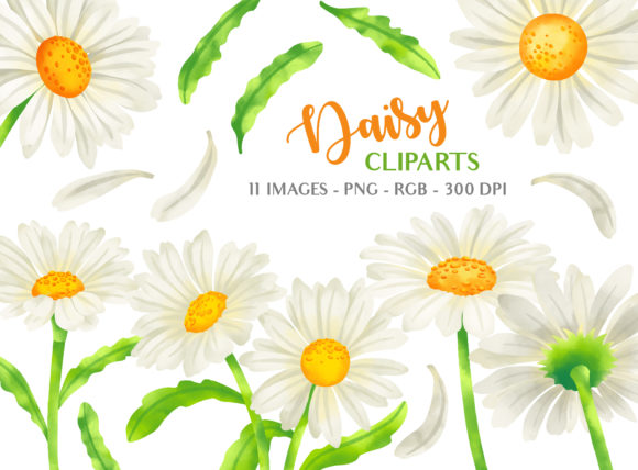 Download Daisy Flower Clipart Illustrations - Premium Resources